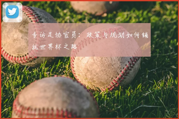 专访足协官员：政策与规划如何铺就世界杯之路