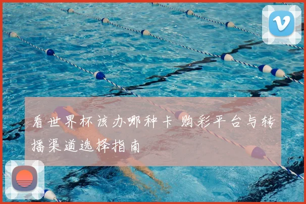 看世界杯该办哪种卡 购彩平台与转播渠道选择指南