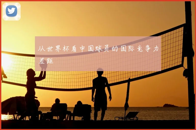 从世界杯看中国球员的国际竞争力差距