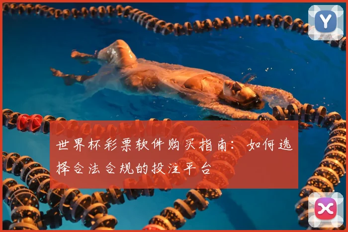 世界杯彩票软件购买指南：如何选择合法合规的投注平台