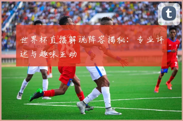 世界杯直播解说阵容揭秘：专业评述与趣味互动