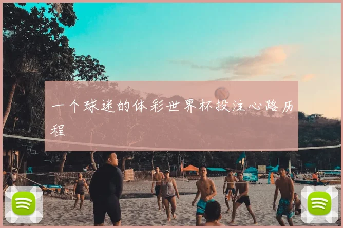 一个球迷的体彩世界杯投注心路历程