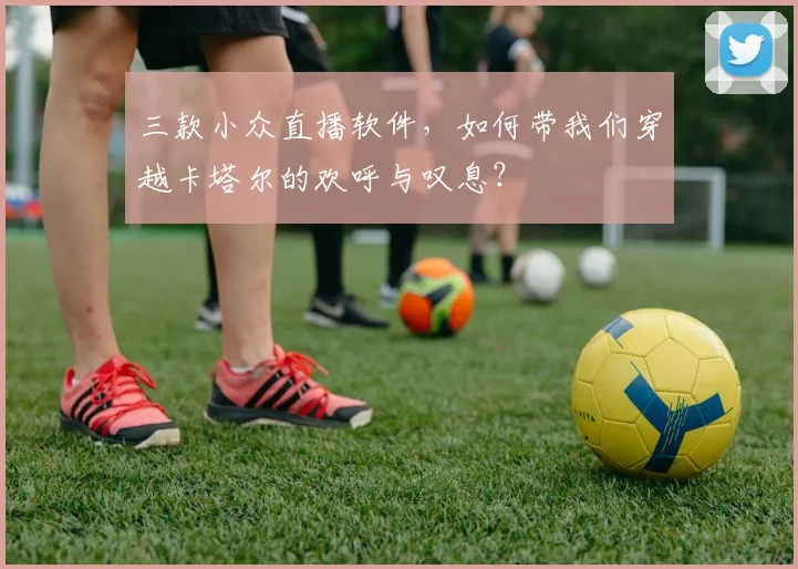 三款小众直播软件，如何带我们穿越卡塔尔的欢呼与叹息？