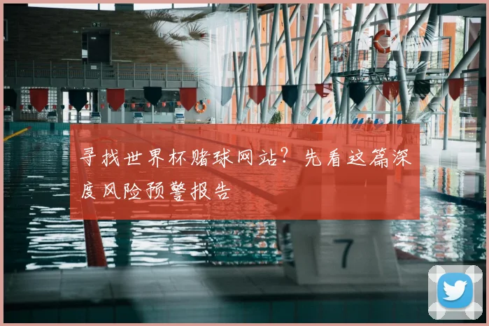 寻找世界杯赌球网站？先看这篇深度风险预警报告