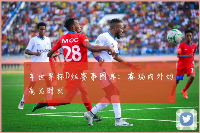 年世界杯D组赛事图库：赛场内外的高光时刻