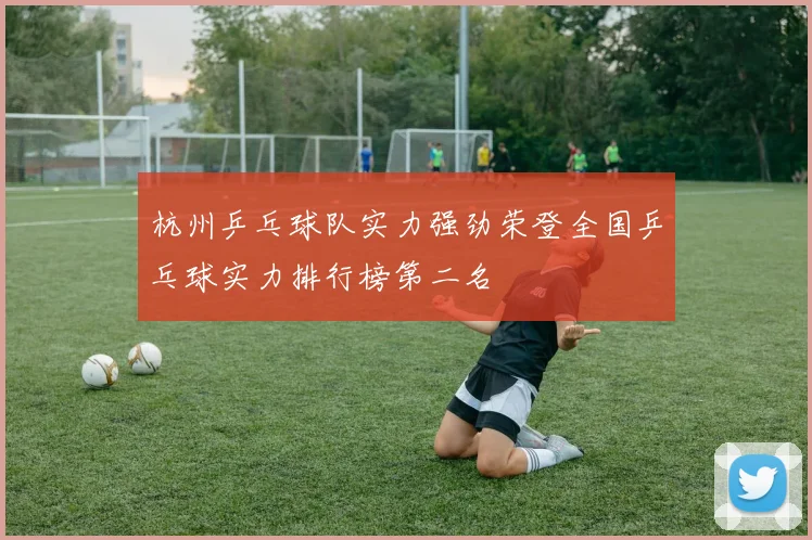 杭州乒乓球队实力强劲荣登全国乒乓球实力排行榜第二名