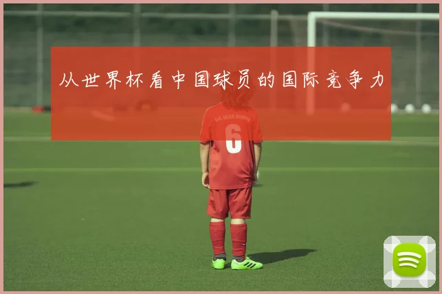 从世界杯看中国球员的国际竞争力
